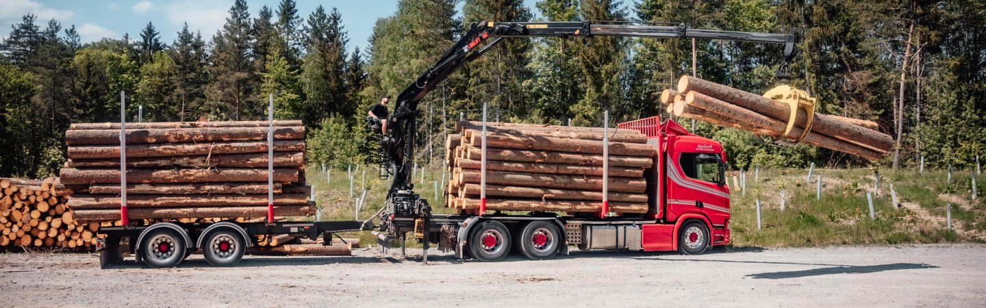 LOGLIFT 18Z