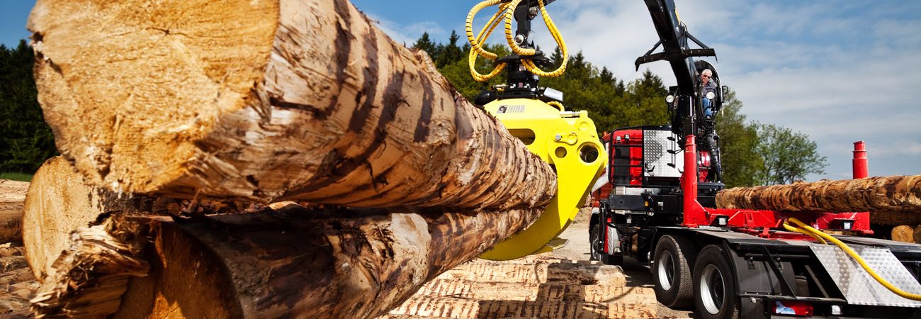 LOGLIFT 251S