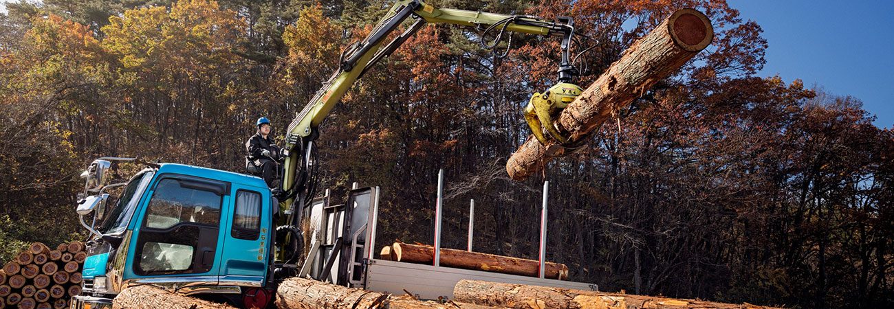 LOGLIFT 61Z