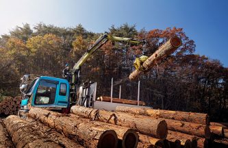 LOGLIFT 61Z