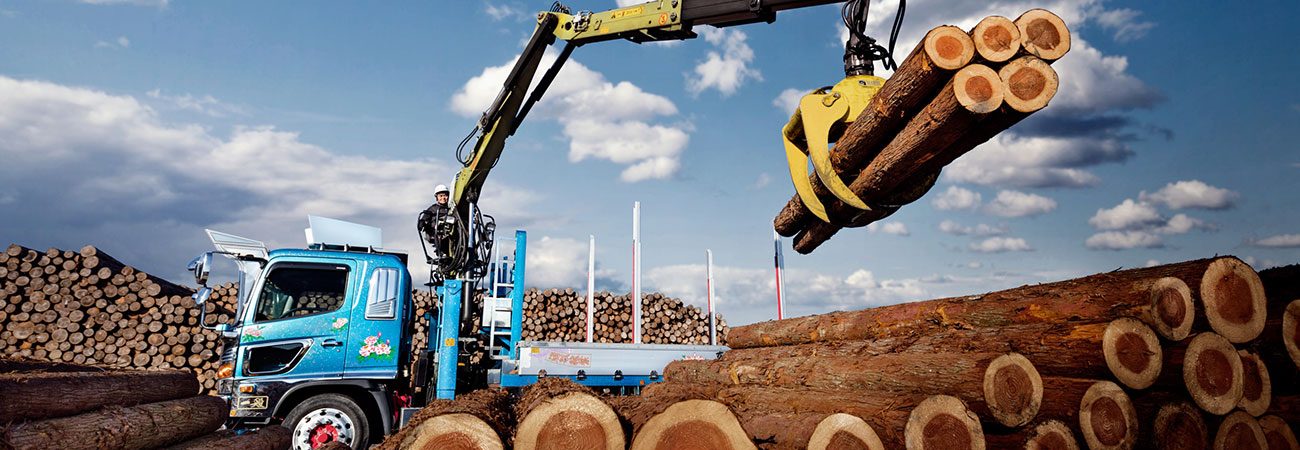 LOGLIFT 82Z